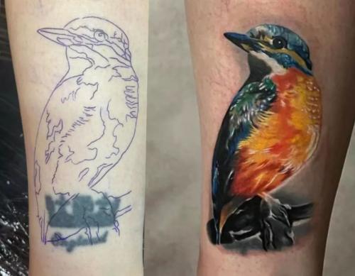 Photo-by-Peter-Hari-on-August-10-2023.-May-be-an-image-of-one-or-more-people-tattoo-and-kingfisher